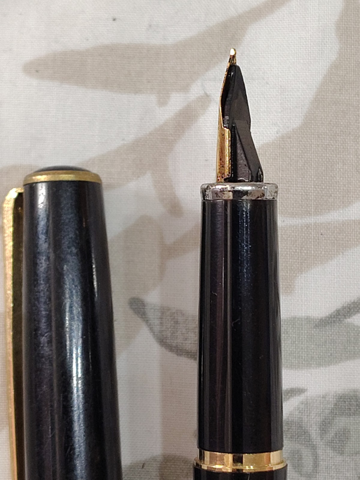 Platinum Black Plastic Fountain Pen With Gold Plated Medium Nib