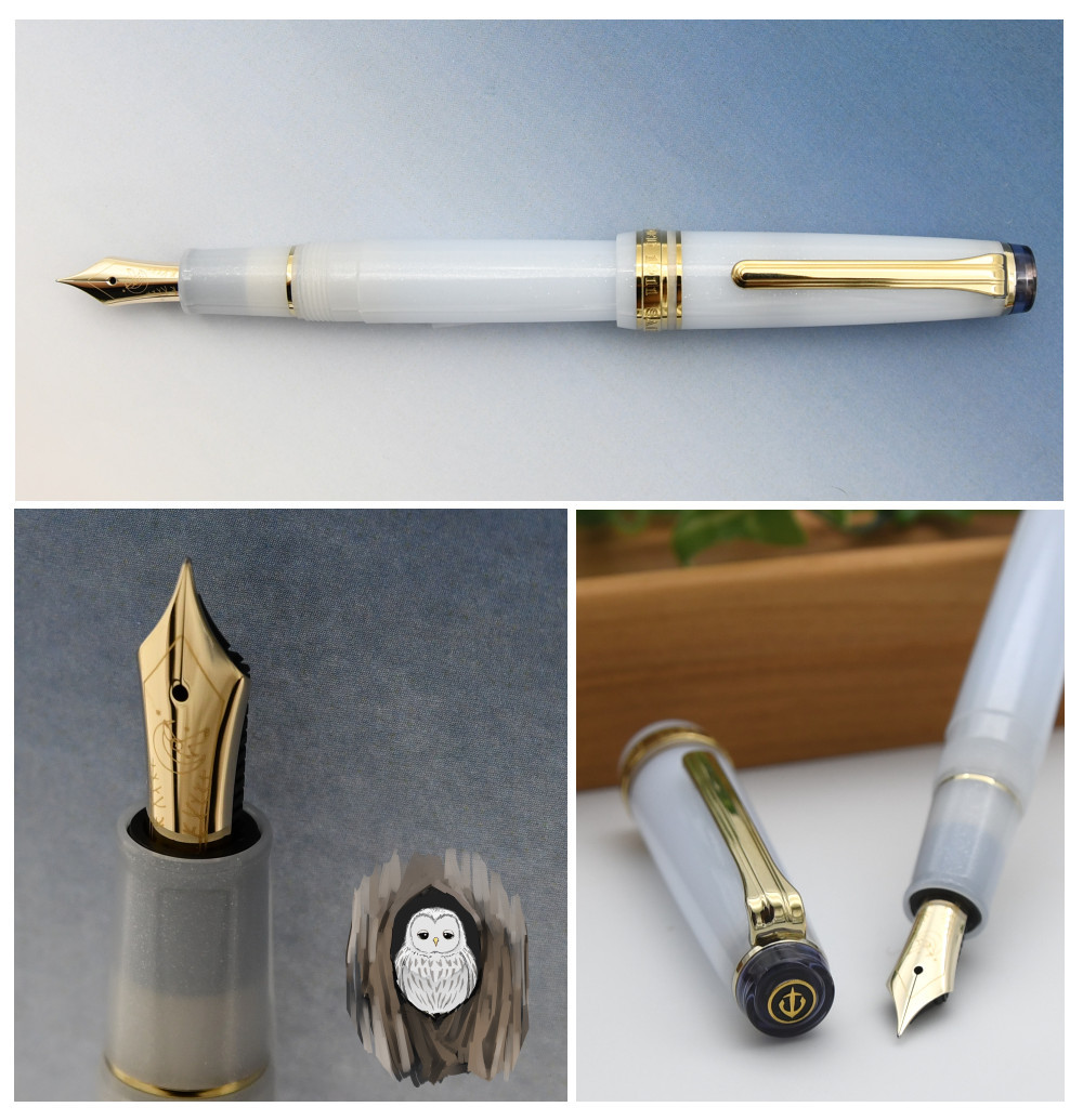 Sailor Pro Gear Slim Ezofukurou Fountain Pen 14K Gold Nib F Japan New