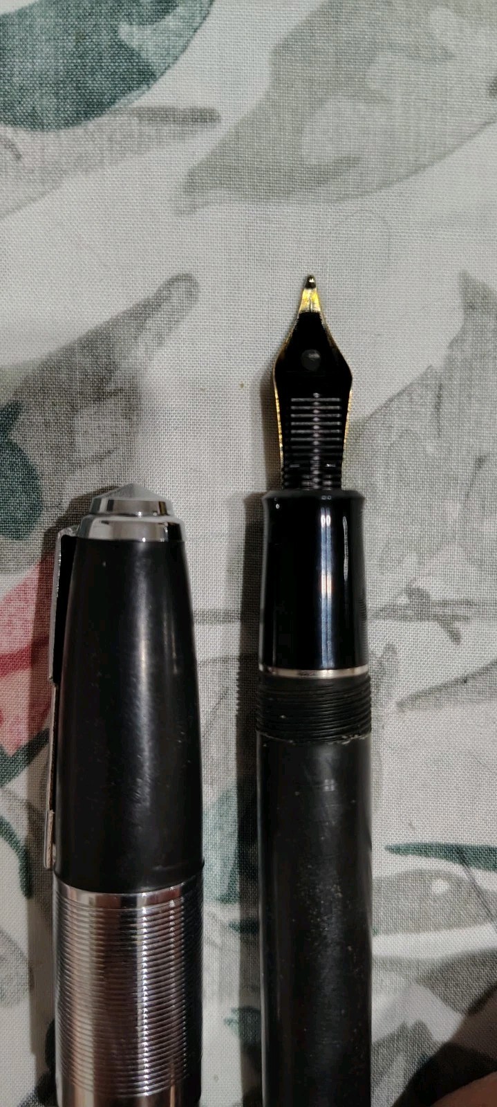 Modele Recife Depose Fountain Pen France Large Capped