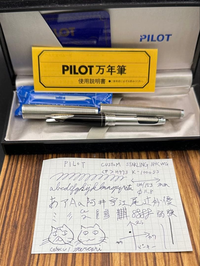 Rare Pilot Custom Sterling 18KWG 1973 Medium M Fountain Pen Vintage Japan