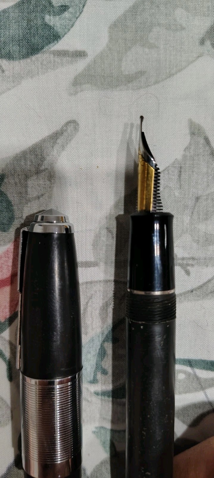 Modele Recife Depose Fountain Pen France Large Capped