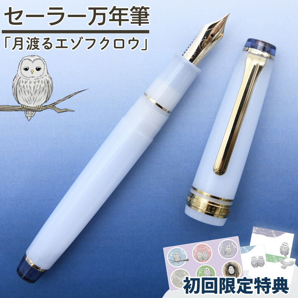 Sailor Pro Gear Slim Ezofukurou Fountain Pen 14K Gold Nib F Japan New