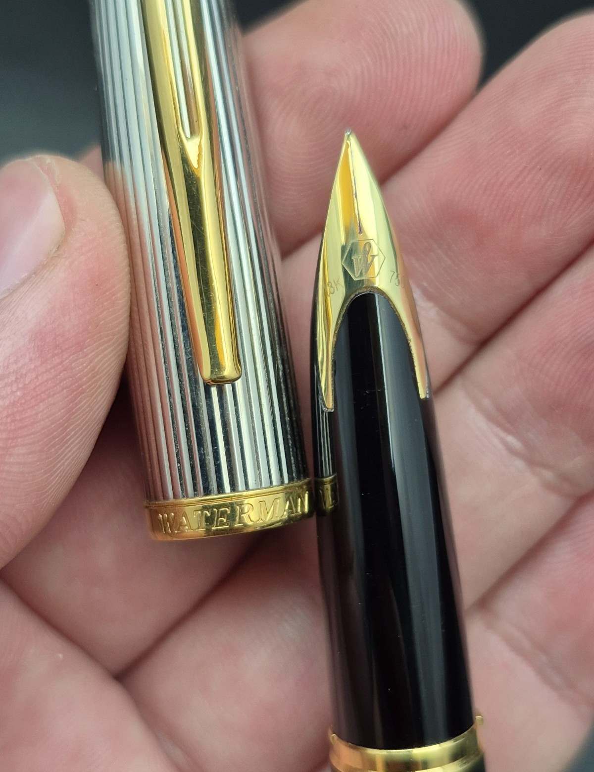 Waterman Carene Deluxe Silver Meridians Fountain Pen 18K 750 Gold Nib France